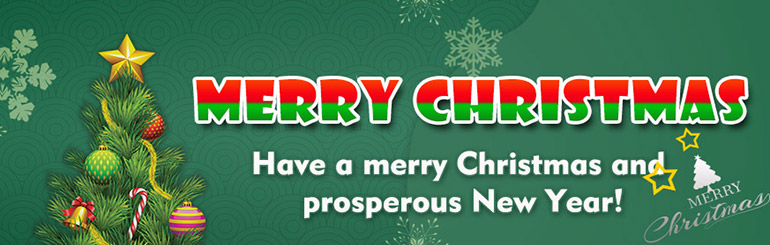 MERRY CHRISTMAS AND A HAPPY NEW YEAR 2021.